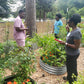 Harvest Joy Patron — Friend Membership 2027